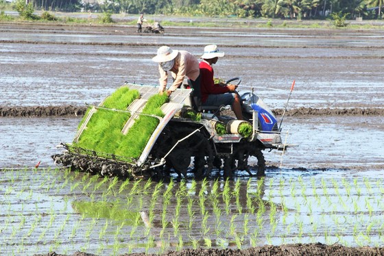 Dồn sức phát triển ĐBSCL bền vững hơn ảnh 1