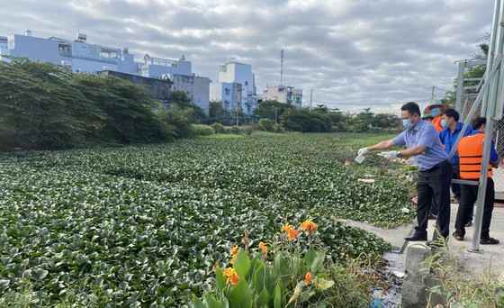 Khơi thông dòng chảy nghiên cứu khoa học  ảnh 1