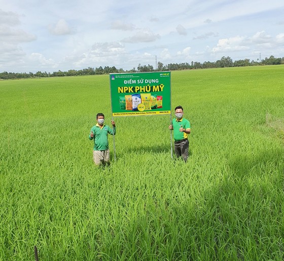 PVFCCo hợp tác triển khai chương trình sử dụng phân bón an toàn, cân đối, hiệu quả ảnh 2