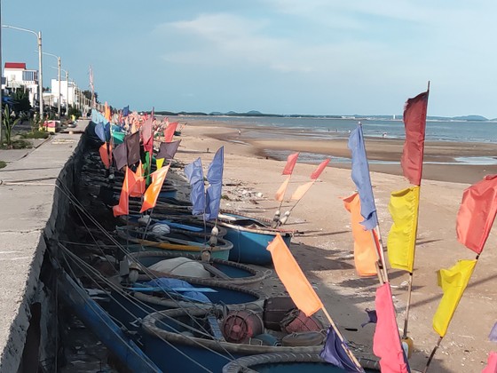 Háo hức chờ ngày vươn khơi ảnh 1