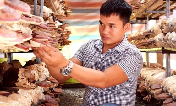 Thành công bằng ý chí ảnh 1