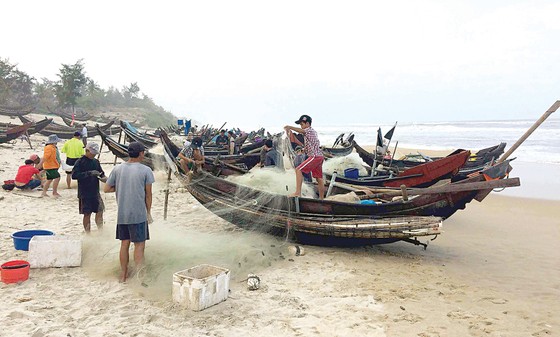Lộc biển ảnh 2