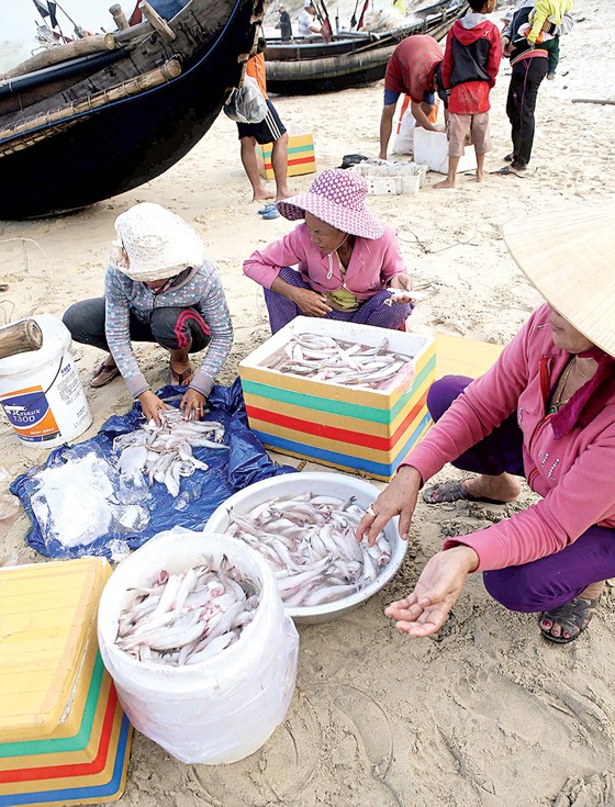 Lộc biển ảnh 4