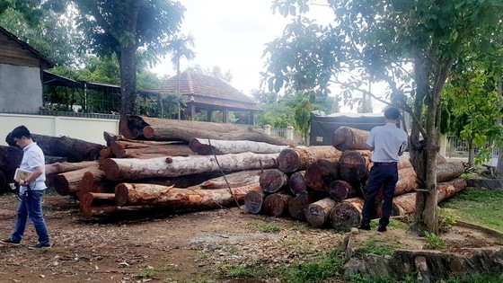 Vụ bắt trùm gỗ lậu Phượng “râu”: Đình chỉ công tác 4 cán bộ đồn Biên phòng ảnh 1