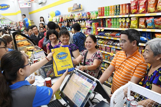 Phát triển ngành bán lẻ nội địa ảnh 1
