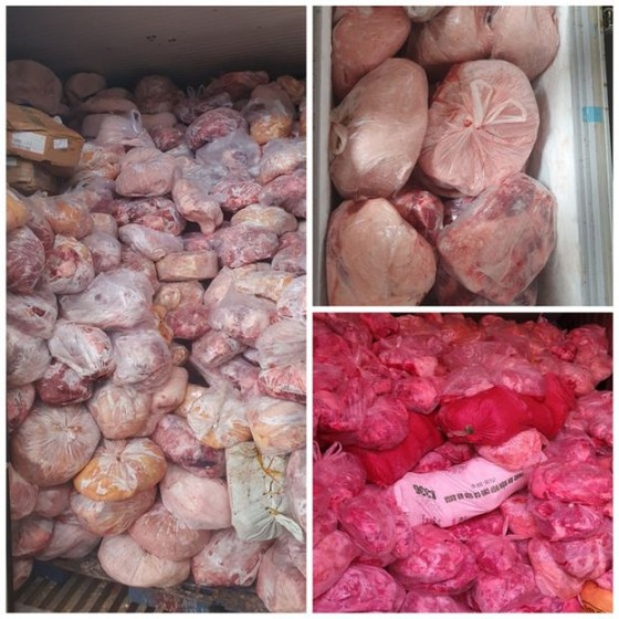 發現運載感染非洲豬瘟豬肉集裝箱 ảnh 1