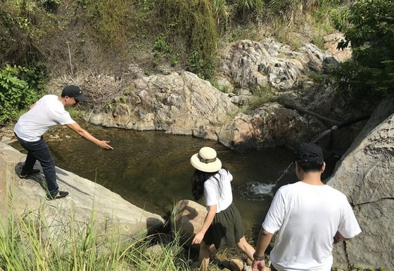 寵草海灘是峴港灣的神秘荒野天堂 ảnh 2