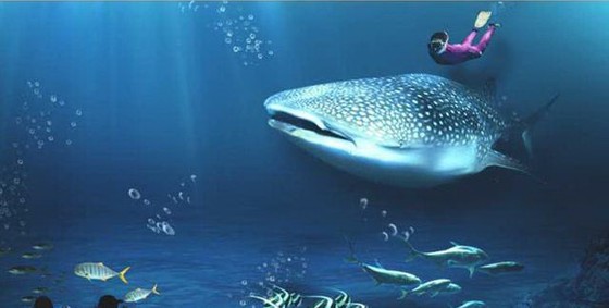 世界11個巨大而神奇的水族館(上) ảnh 1
