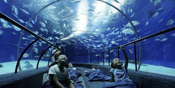 世界11個巨大而神奇的水族館(上) ảnh 3