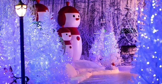 到西貢盡情玩「雪」其樂融融 ảnh 2