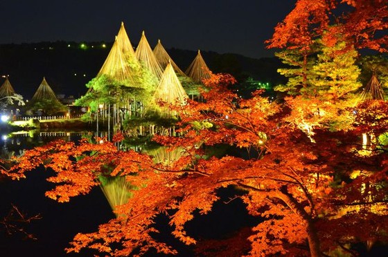 夜燈下的奇幻色彩!日本三大名園——兼六園的秋與冬! ảnh 4