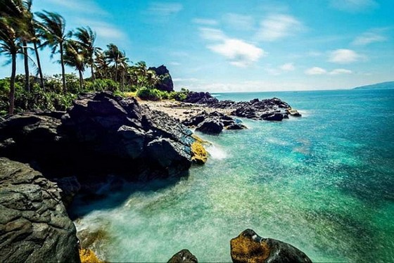美麗的安平島 ảnh 1
