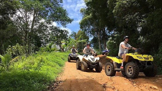 Kong Forest 獨一無二的公園 ảnh 1