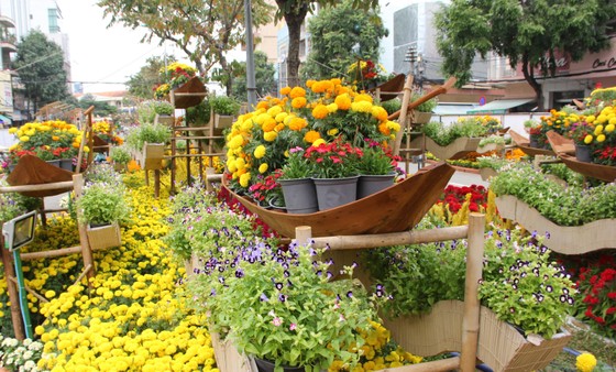 Đường hoa Cần Thơ rực rỡ trước giờ mở cửa ảnh 3