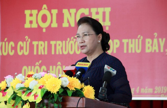 Cử tri kiến nghị về giá xăng, giá điện ảnh 1