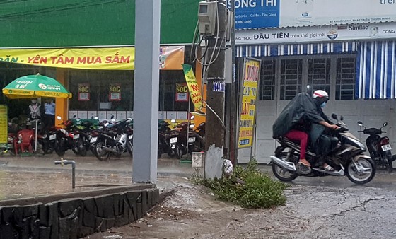 Xuất hiện mưa 'vàng' giải nhiệt cho ĐBSCL ảnh 8