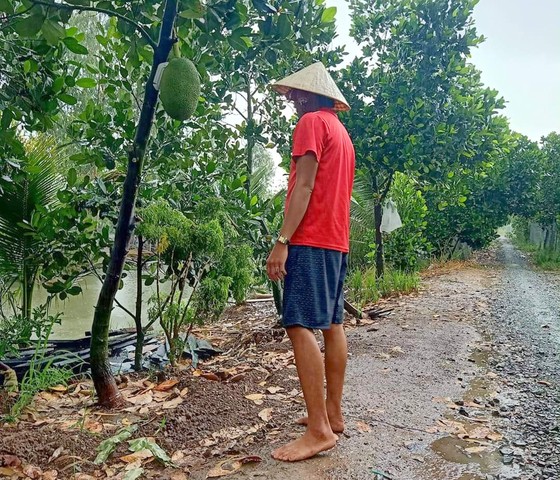 Xuất hiện mưa 'vàng' giải nhiệt cho ĐBSCL ảnh 10