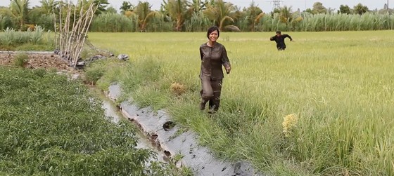 Vừa ra mắt đạt doanh thu "khủng" tại Việt Nam, "Thất sơn tâm linh" phát hành thị trường nước ngoài ảnh 1
