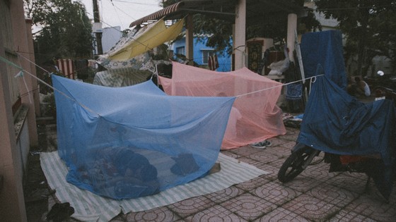 'Đoạn trường vinh hoa': Chuyện đời gánh cải lương tuồng cổ ảnh 11
