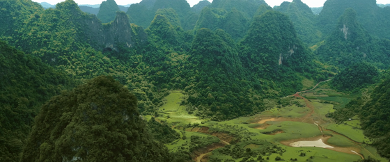 Phim 'Kiều' hé lộ cuộc tình tay ba đầy oan nghiệt ảnh 6