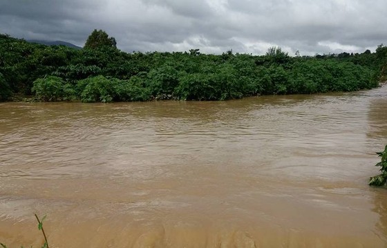 Mưa lớn kèm lũ gây ngập nhiều cà phê, lúa tại Lâm Đồng ảnh 1