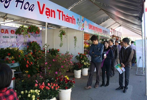 Công bố thời điểm tổ chức Festival hoa Đà Lạt lần thứ VII-2017 ảnh 2