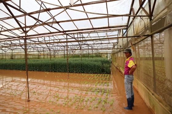Xem cảnh ngập sâu cả mét nước sau trận mưa lớn ở Đà Lạt ảnh 8