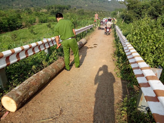 Xác định 3 đối tượng trong vụ lâm tặc đốt xe phi tang khi gặp kiểm lâm ảnh 2