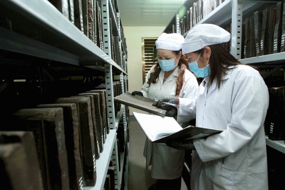 Mộc bản ở Việt Nam đa phần cần giải pháp khắc phục kịp thời ảnh 1