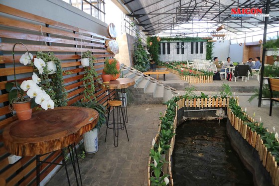 Nông trại Đà Lạt thu nhỏ trong "hộp xanh" ảnh 5