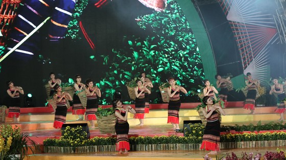 Đêm khai mạc Festival Hoa Đà Lạt đầy sắc màu ảnh 5