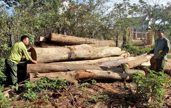 Xe cẩu ngang nhiên vào hồ thủy điện vận chuyển gỗ lậu ảnh 3