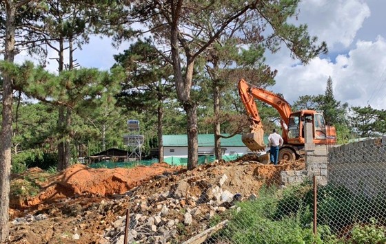 Giải toả nhiều công trình trái phép dưới tán rừng thông ở Đà Lạt ảnh 1
