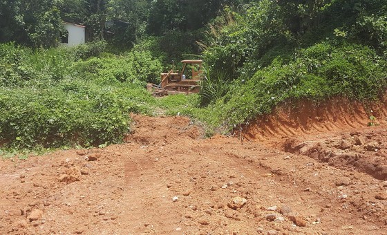 Vô tư san ủi đất, làm đường trái phép ở Đà Lạt ảnh 6