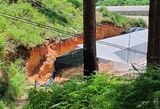 Đi xử lý san gạt, lấn chiếm đất rừng, nhóm cán bộ phường bị đuổi đánh ảnh 2
