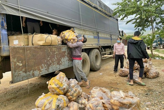 Rau '0' đồng nườm nượp về TPHCM ảnh 4