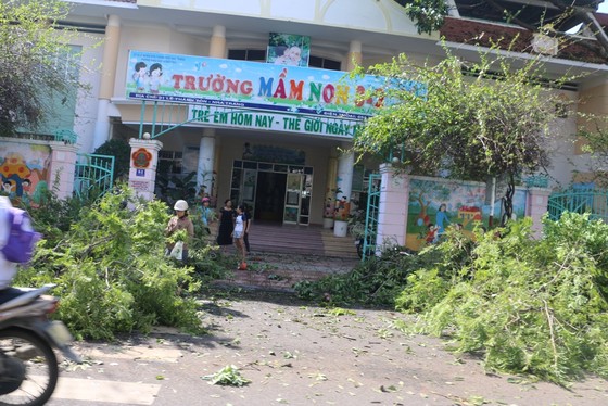Bão số 12 phá tan mảng xanh Nha Trang ảnh 1