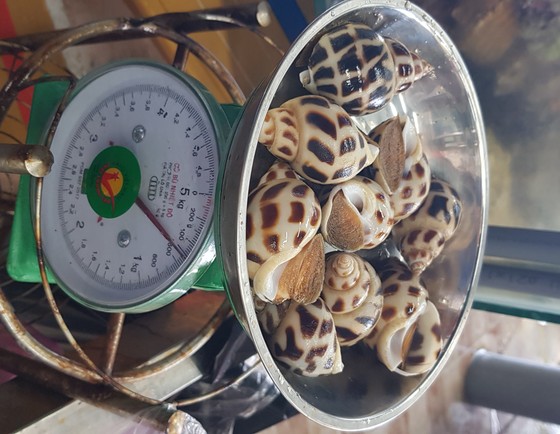 Khách 'tố' nhà hàng tính giá ốc hương 1,8 triệu đồng/kg ảnh 4