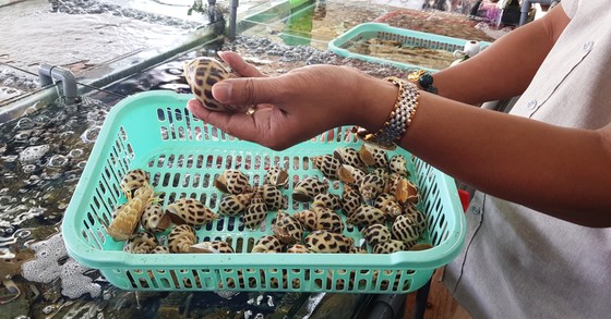 Một nhà hàng hải sản tại Nha Trang bị phạt sau khi khách tố có hành vi chặt chém giá ảnh 1
