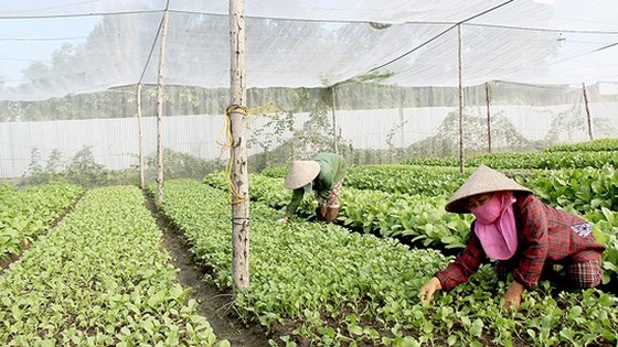 Bộ trưởng Bộ NN-PTNT đề nghị hỗ trợ 9.000 tỷ đồng tái cơ cấu nông nghiệp và khắc phục thiên tai ảnh 2