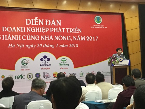 Thu hút doanh nghiệp theo kiểu “ngứa đầu gãi tai” ảnh 1