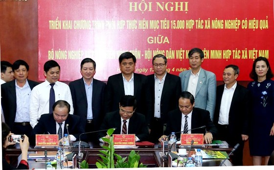 3 bên bắt tay xây dựng 15.000 hợp tác xã mới ảnh 1