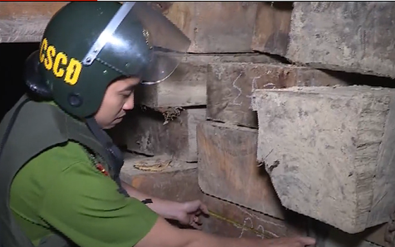 Báo động tình trạng phá rừng tràn lan ảnh 1