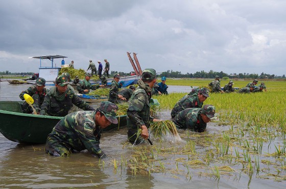 Sẽ có khoảng 18-20 ngày có mưa trong tháng 8 ảnh 4