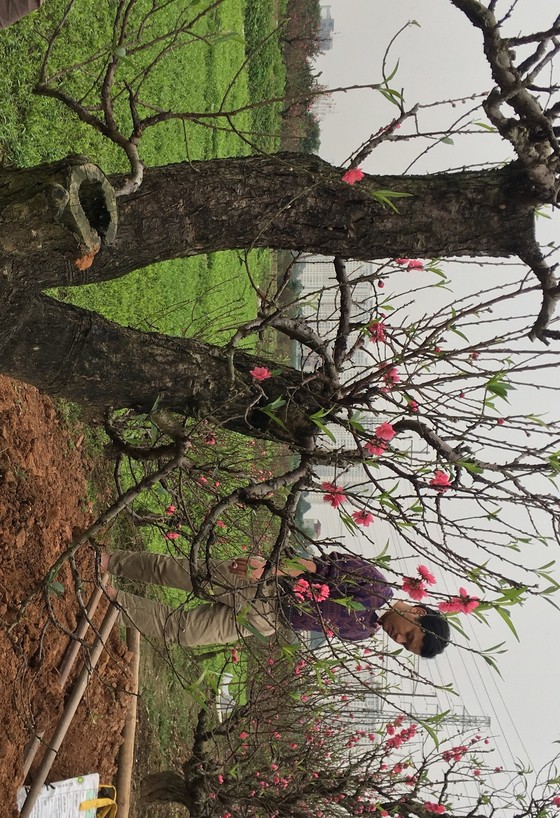 Miền Bắc rét chồng rét, miền Trung mưa gió ảnh 1
