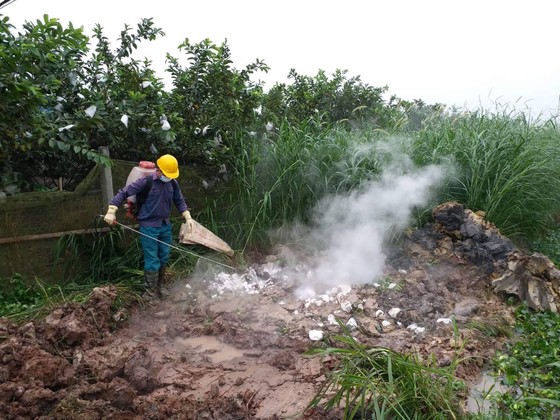 Đề nghị xử lý thông tin nhảm về dịch tả heo ảnh 1