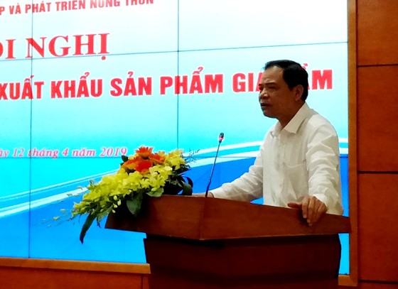 Nuôi gà để bù đắp heo bị dịch tả châu Phi ảnh 2