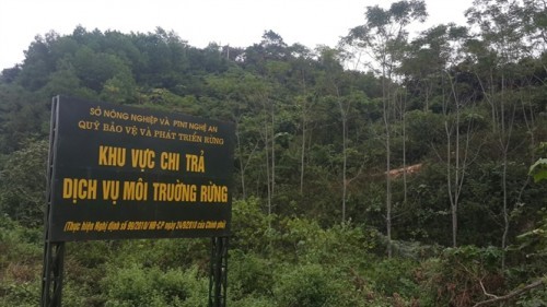 Chuyển gần 2.300 tỷ đồng vào tài khoản của 54.167 chủ rừng ảnh 1