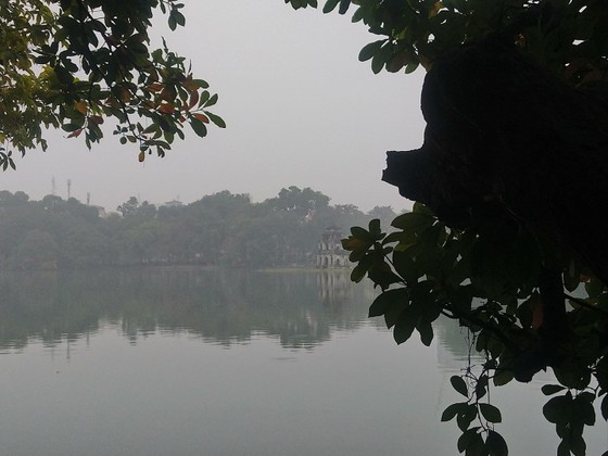 Triều cường sẽ xuất hiện vào dịp Tết, nước mặn tiến sâu vào đất liền ảnh 1