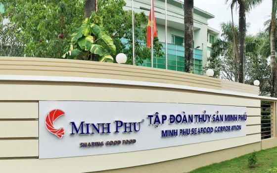Bộ Công thương đã báo cáo Thủ tướng về việc Công ty cổ phần Tập đoàn thủy sản Minh Phú bị Hoa Kỳ thông báo điều tra hành vi lẩn tránh thuế với tôm xuất khẩu. ảnh 1